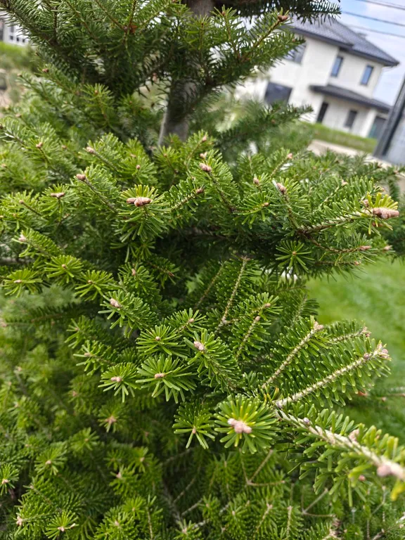 Апартаменты у моря