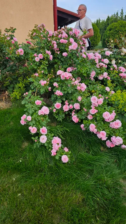 Агроусадьба Лесная Паулинка