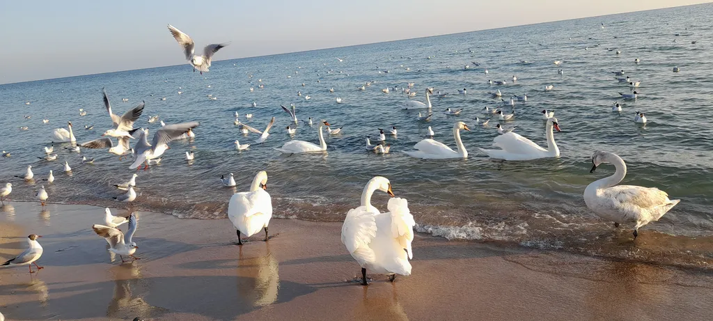 Квартира рядом с морем и пляжами