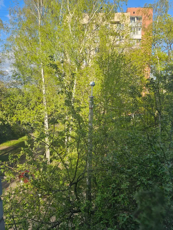 Квартира в тихом дворе