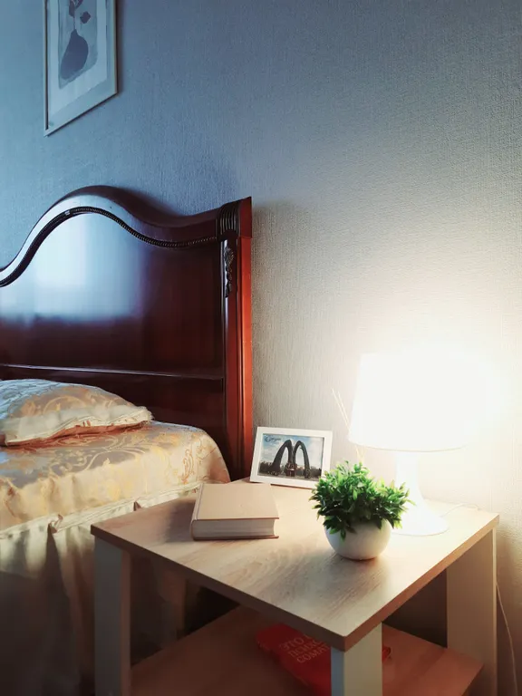 Уютная квартира на проспекте Мира 44