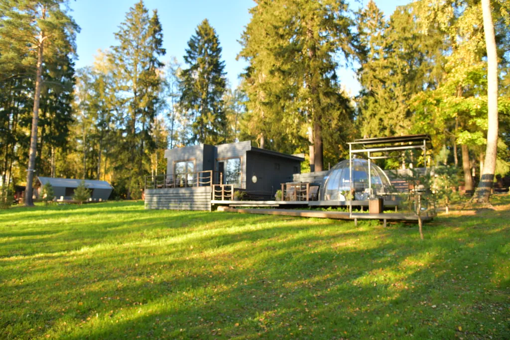 Уютный дом на живописной поляне в лесу с панорамными окнами