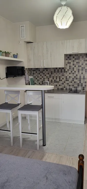 Уютная студия у реки, до Псковского Кремля 20 минут на транспорте