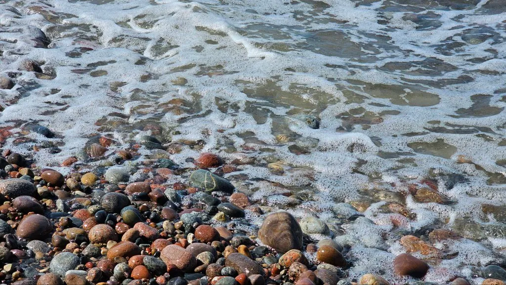 Двухкомнатная квартира "Морской риф"