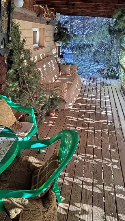 Охотничий дом с медведем на Ладоге