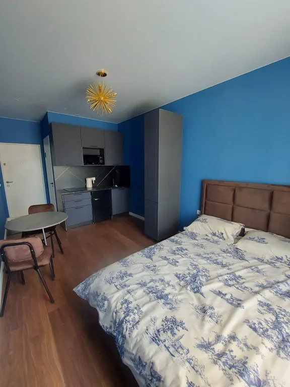 Студия с черным санузлом