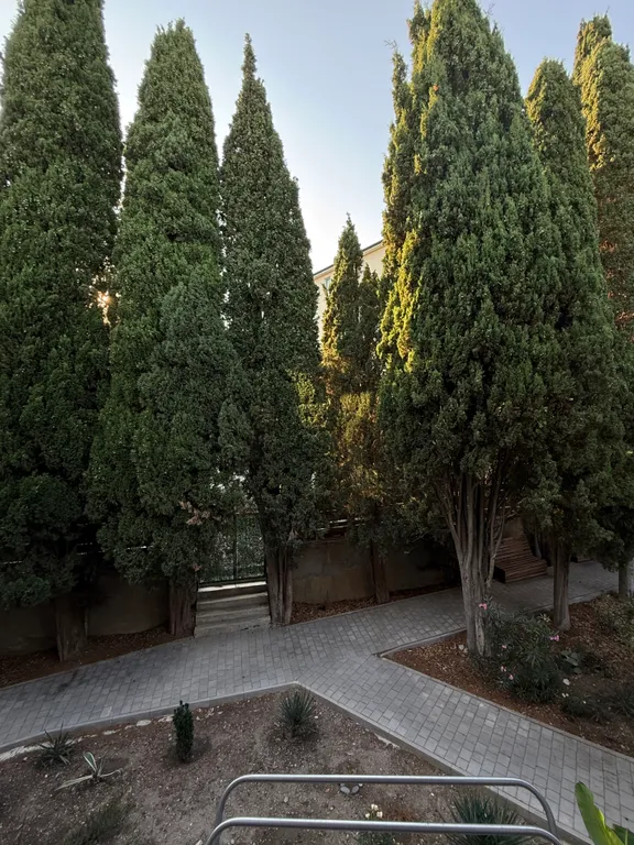 Квартира-студия с кипарисами за окном