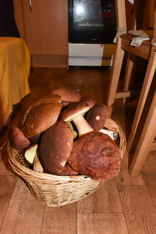 Коттедж Домик Коиви в Приморске — Приморск