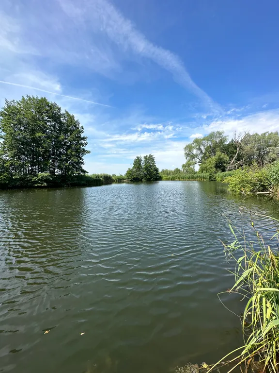 Коттедж Уединенный теплый дом без соседей с сауной, джакузи и бассейном — Луховицы
