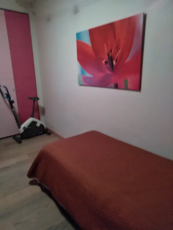 Прекрасная, уютная комната в кирпичной сталинке