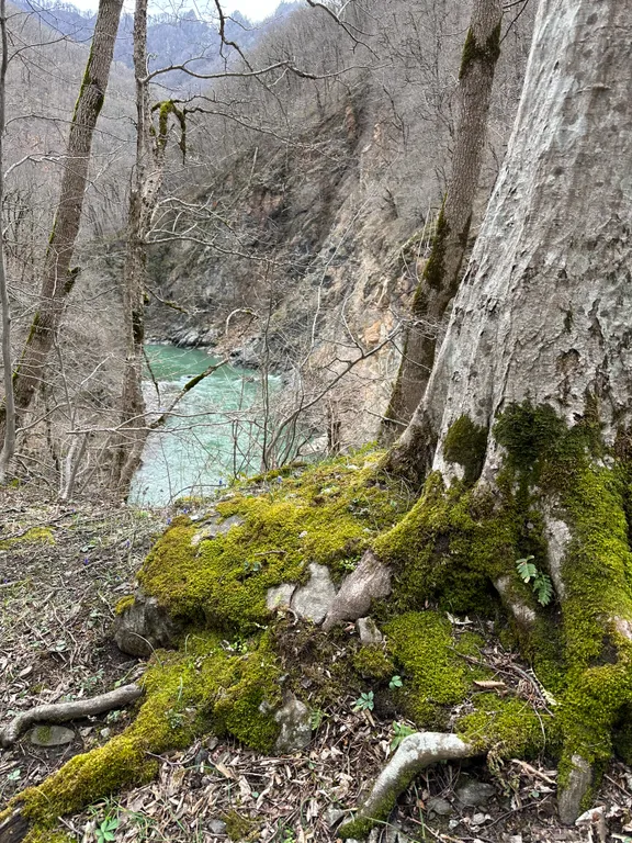 Дом с баней