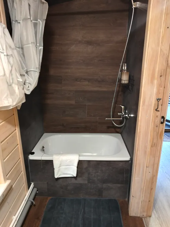 Дом с березами