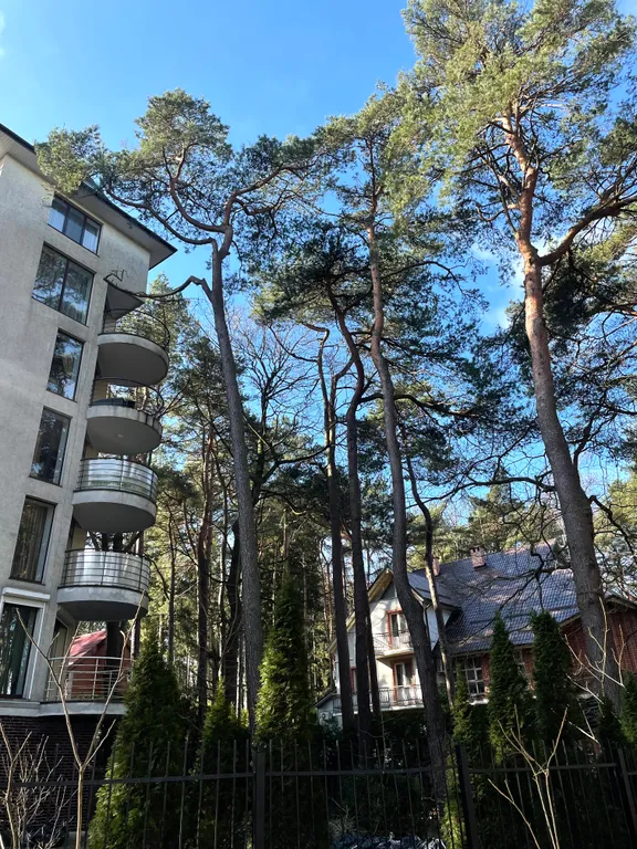 Квартира Квартира на первой линии — Светлогорск