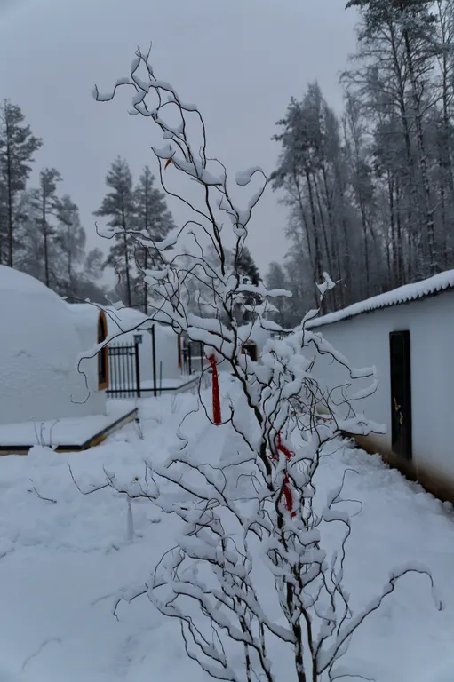 База отдыха «Хэйлун»Дом №1 «Пекин»