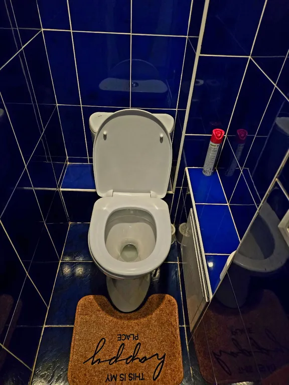 Однушечка возле линии в центре харьковской горы