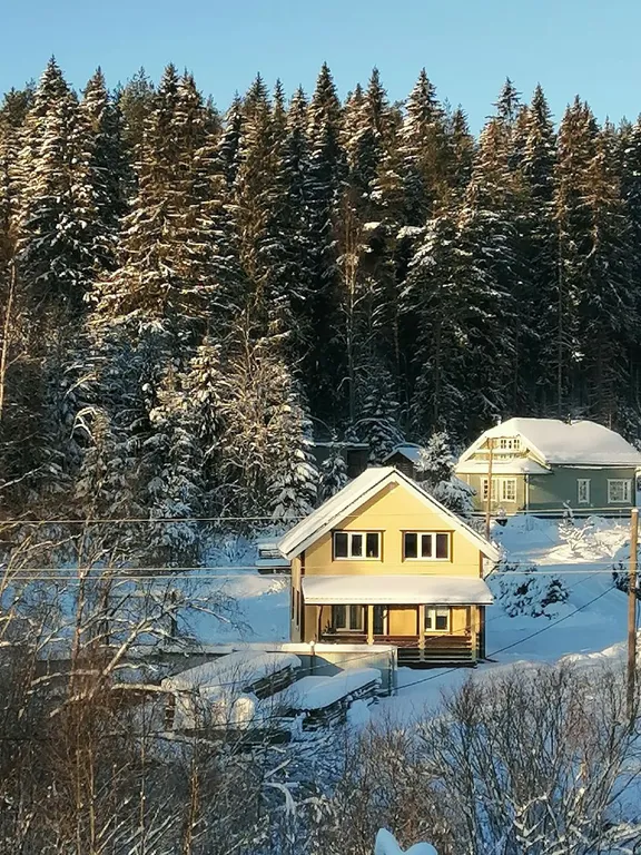 Уютный уголок у леса