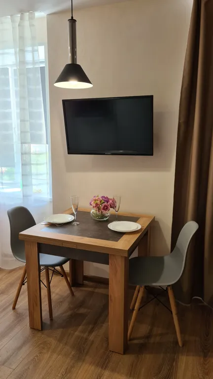 Апартаменты-студия у Ледового Дворца