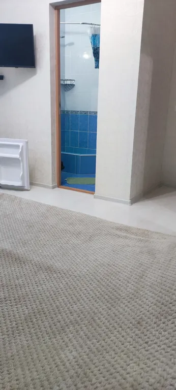 Квартира Комната — Сириус