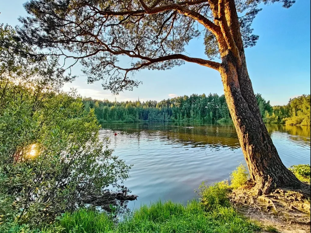 Курортная квартира с питерской атмосферой-лес, озеро, Москва.