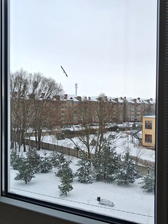 Квартира Квартира Light apartment — Светлый