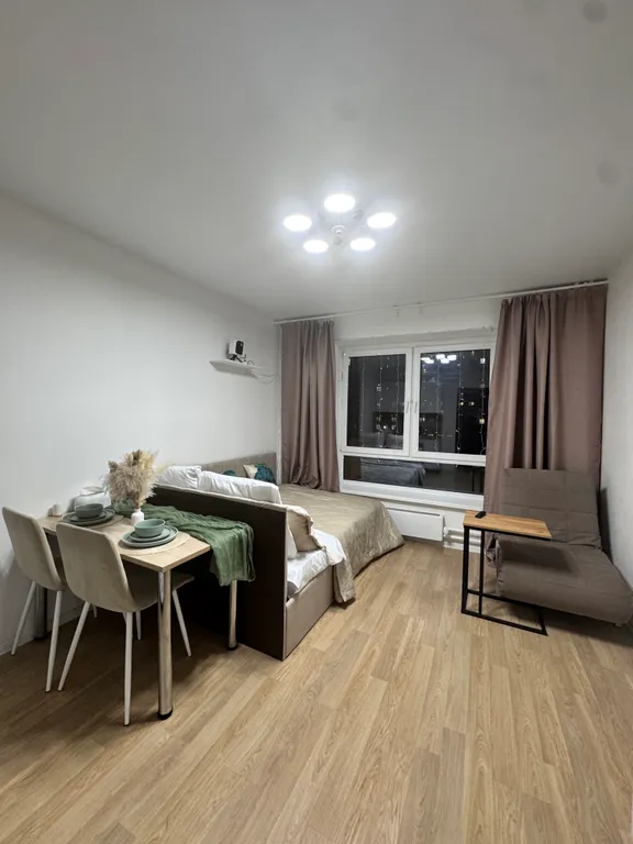 Студия с проектором около аэропорта Внуково