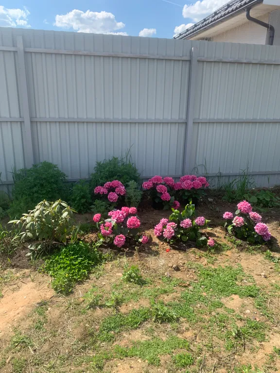 Уютный дом у леса и озера