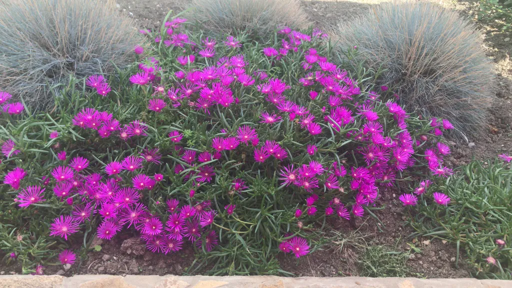 Коттедж Дом под черепицей — Солнечная Долина