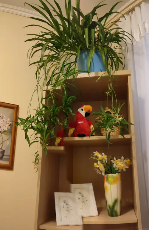 Коттедж Небольшой домик в центре города — Пятигорск