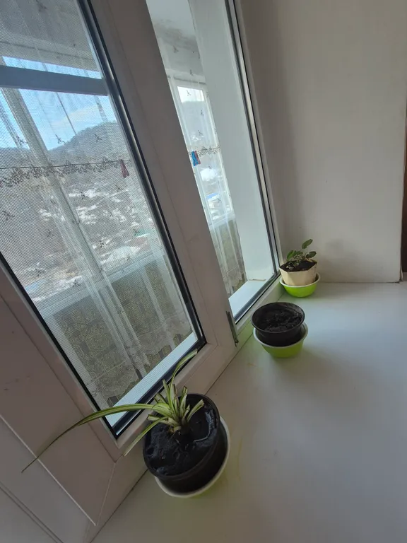 Уютная квартира с видом на горы