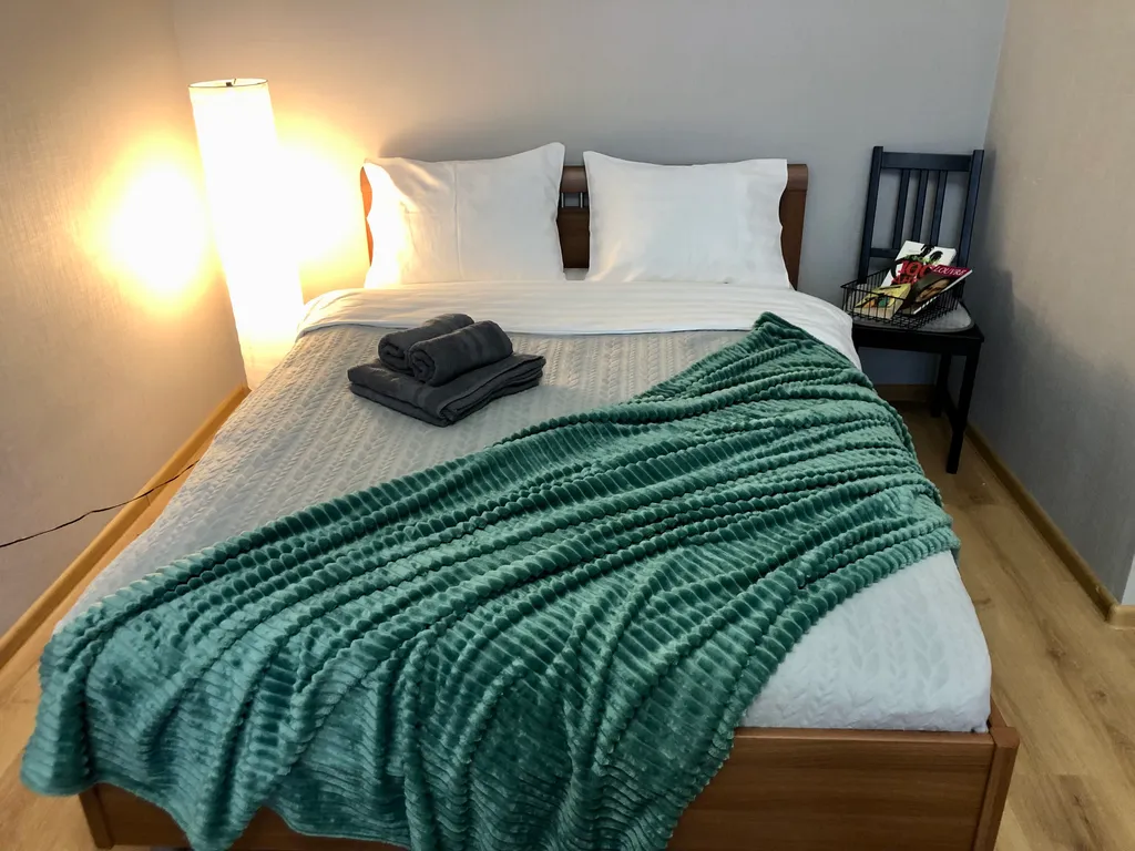 Квартира Просторная квартира у НИИ Петрова/Гранова — Песочный