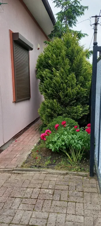 Коттедж Дом на берегу Балтийского моря — Сокольники