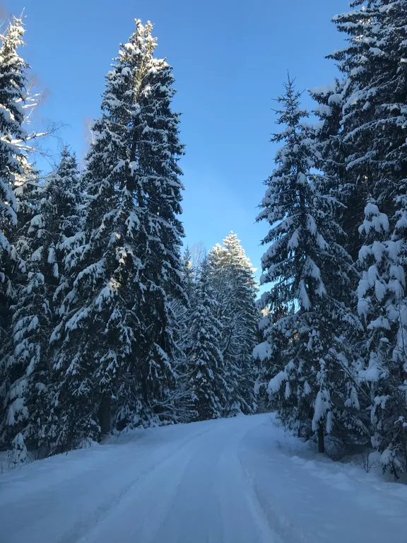 Апартаменты в Краснолесье
