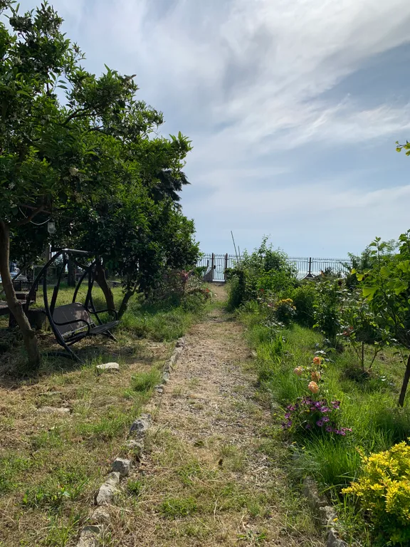 Апартаменты с видом и выходом на море