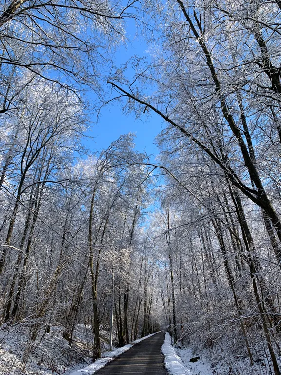 Ивановские дачи