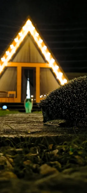 Шале в стиле Афрейм с индивидуальной территорией