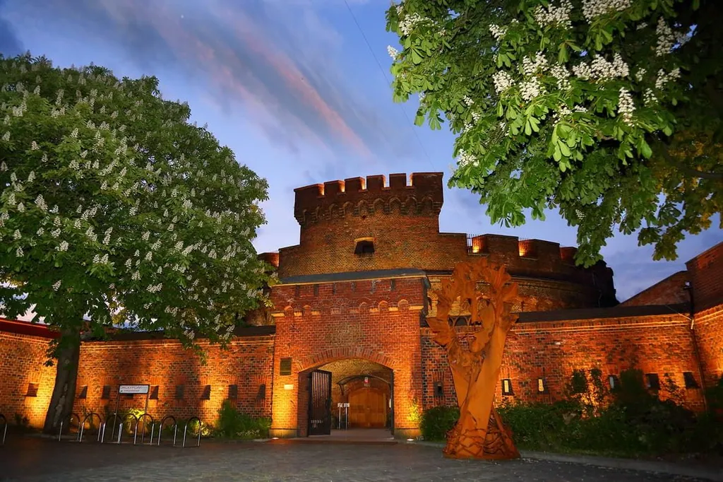 Квартира Квартира Уютная квартирка в районе музея янтаря — Калининград