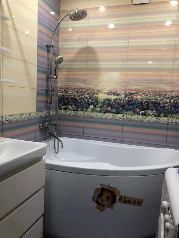 Большая однокомнатная квapтира в новостройке