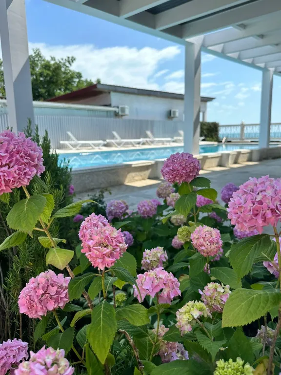 Квартира Квартира Вилла Стефания — Сухум