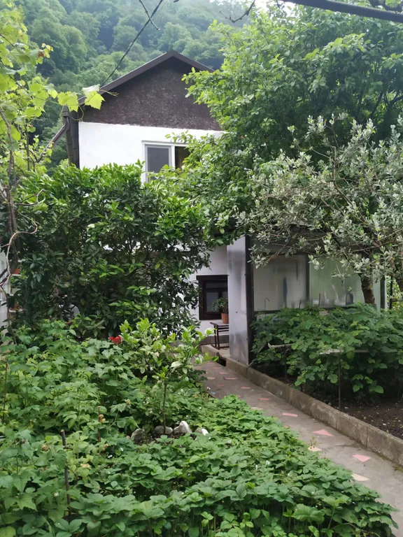 Коттедж Дом в живописном ущелье — Гагра