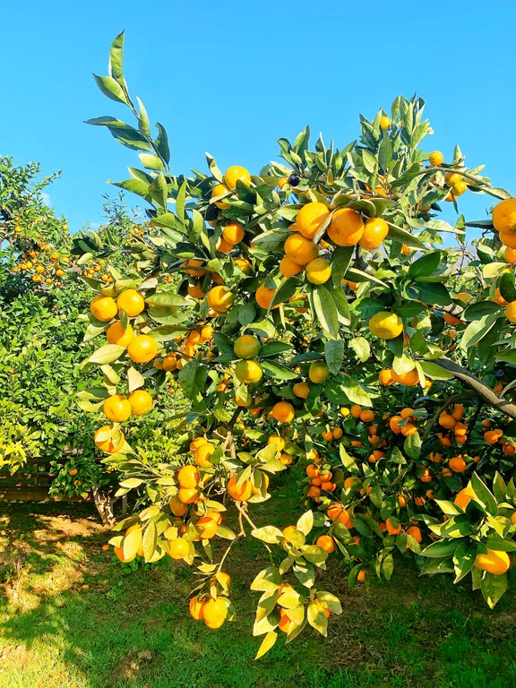 Двухместный стандарт с двуспальной кроватью без балкона на 1 этаже