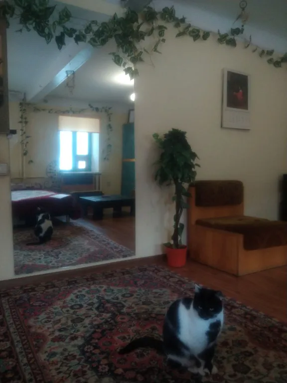 Уютное тихое место