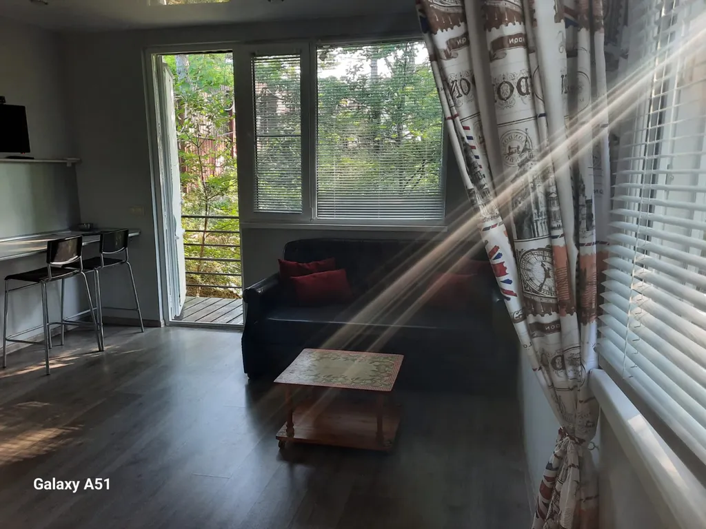 Студия с видом на лес и море