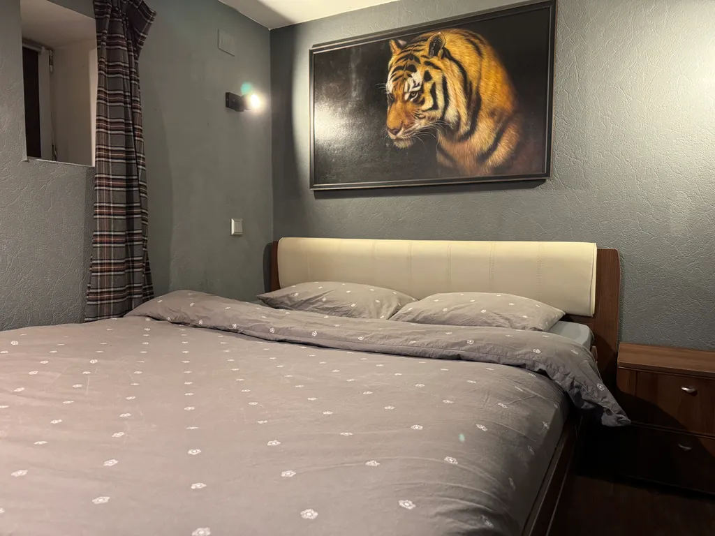 Эксклюзив - дом-сад у главной елки Ярославля, катка Советской площади