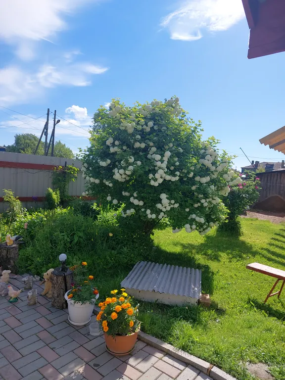 Квартира в частном доме