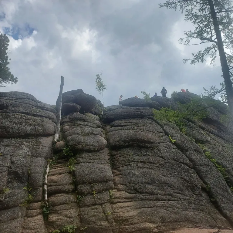 Трёхкомнатная в центре, Дворец Ярыгина, отчетные документы