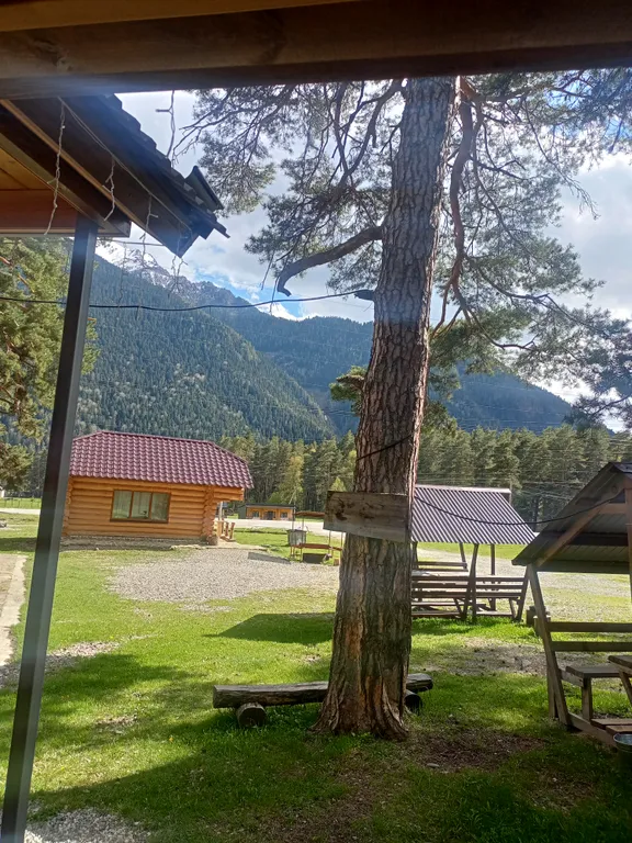 Квартира Квартира Уютный 2-х комнатный люкс для отдыха в лесной зоне — Архыз