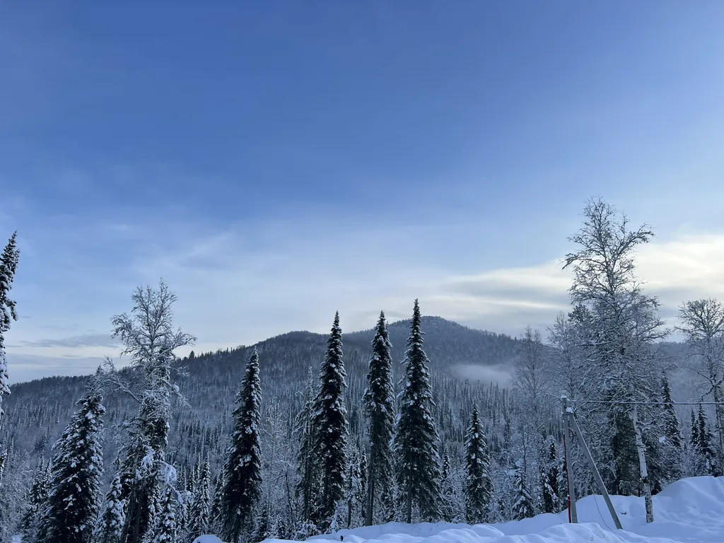 Дом в Hill-house