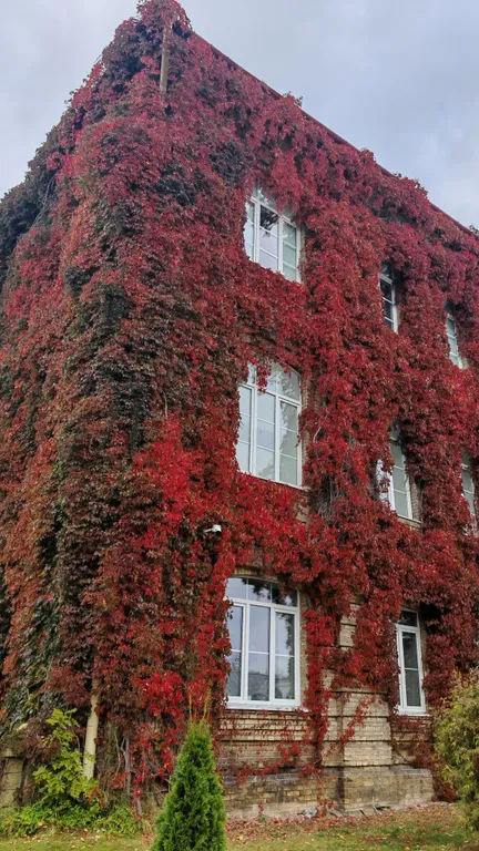 Уютная квартира с сплит-системой в центре, рядом с ЖД вокзалом