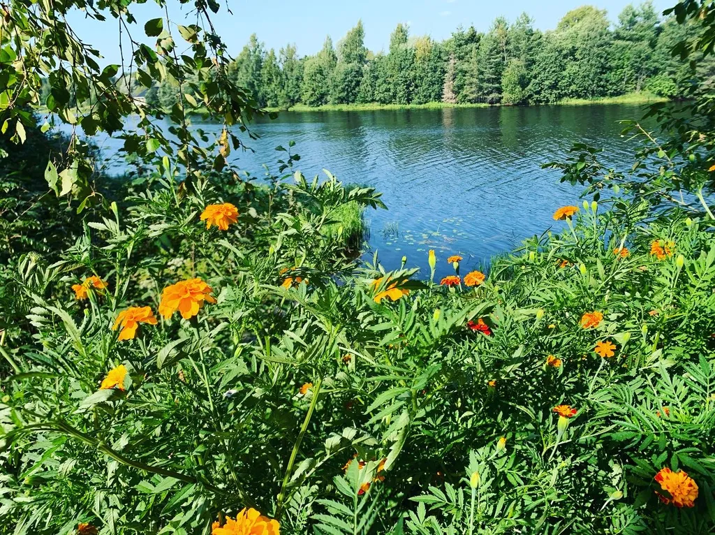 Нурми дом у реки