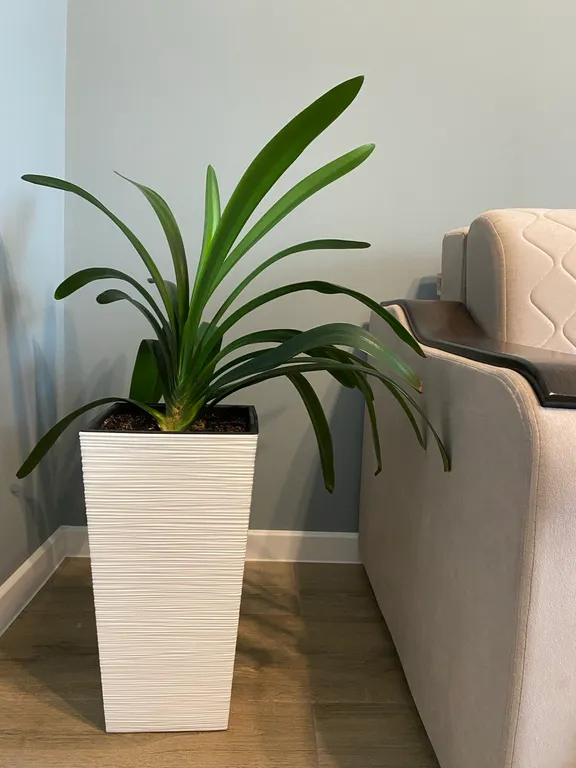 Квартира Cozy home Almaty - аренда уютной квартиры — Алматы